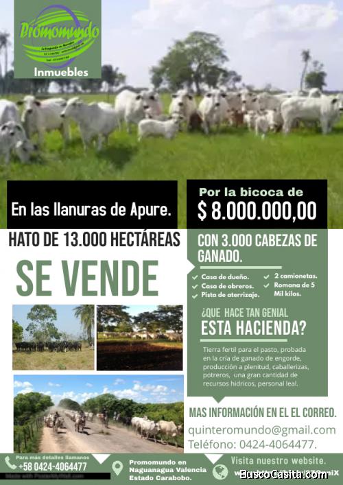 hato en venta Apure 13.8000 hectáreas y 3.000 reses por Mantecal 