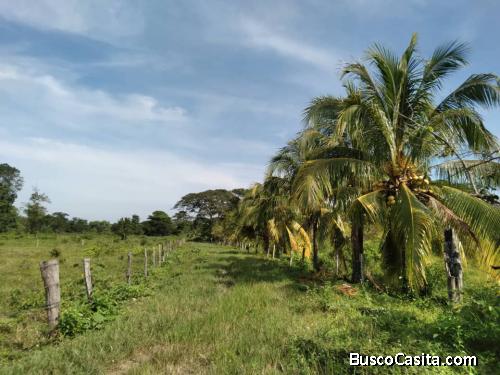 SE VENDE FINCA DE 27has 6242mts a 8 KM DE SANTA ELENA DE ARENALES