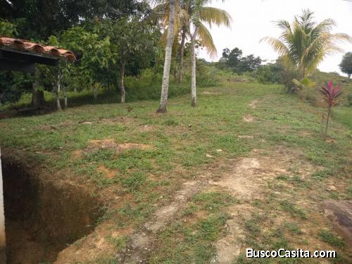 Rafabienes 2 vende fincas pequeñas en la via Tucani 18 has