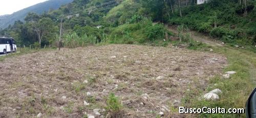 CASA RURAL CON 27.000 MTRS DE TERRENO HACIENDA Y VEGA MERIDA