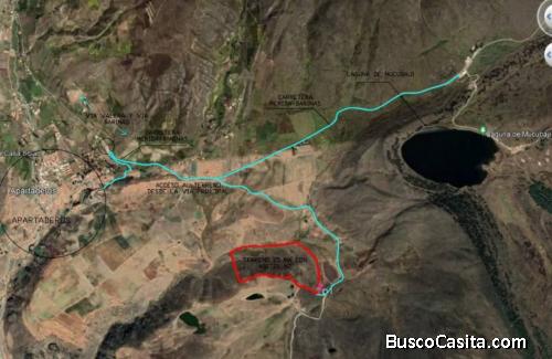 APARTADEROS 15.5 HECTAREAS DE EXCELENTES TIERRAS 