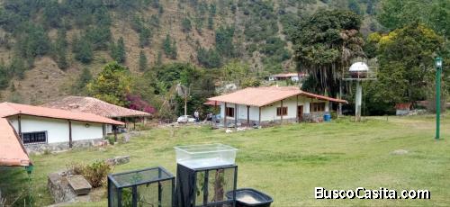 CONJUNTO DE CASAS PARA PROYECTO TURISTICO CON TERRENO EN LA MUCUY ALTA.