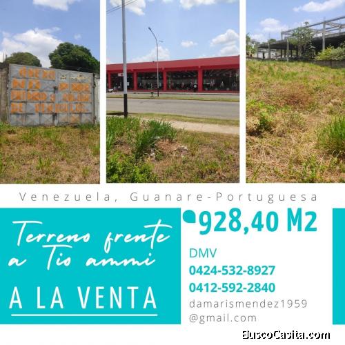 TERRENO FRENTE A TIO AMMI