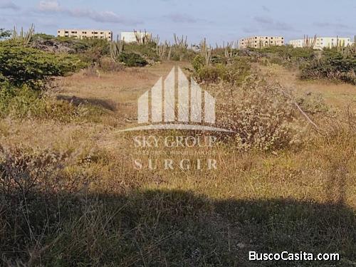 Se vende Terreno en la Pedro Manuel Arcaya