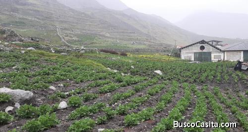 Rafabienes vende un terreno de 13.500 mts APARTADEROS