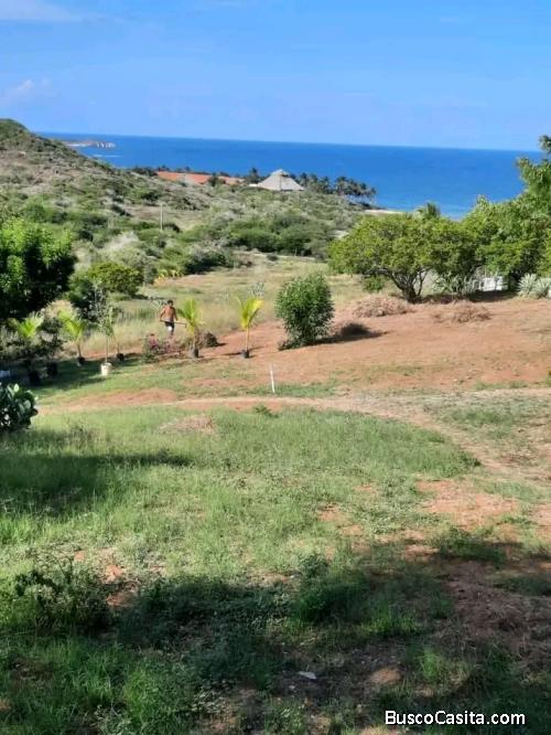 Terreno Manantial del Guayamuri