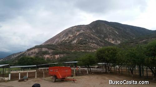 Finca En el Tocuyo 249 Hectareas.