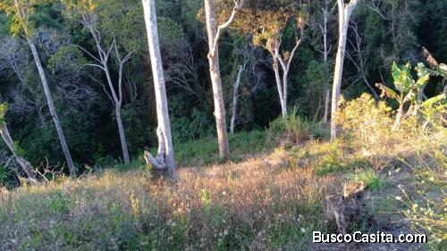 Económico Terreno en venta en el Junquito - La Niebla 2600 mtrs2  Excelente terreno en zona residenc