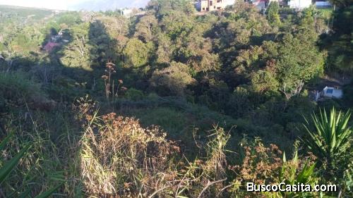 Terreno en venta el junquito la niebla 1800 MTS2						