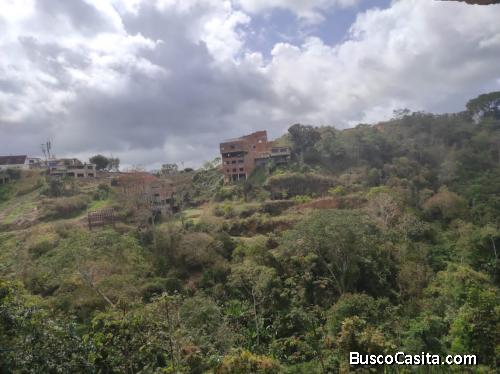 Alicia Castillo vende Terreno en  La Union El Hatillo