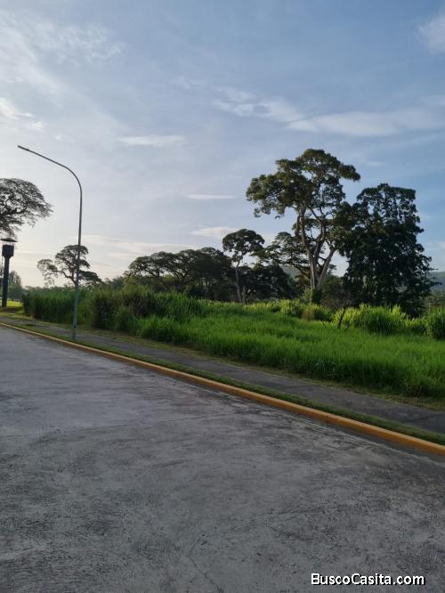 FARITH MOTA VENDE TERRENO EN SAN DIEGO  FOT-362