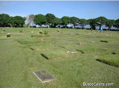 SE VENDE PARCELA Z3-11-IG ubicada en el Cementerio del Este