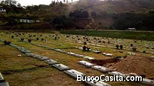 En venta PARCELA D SECCIÓN Q-72-IV Cementerio del Este