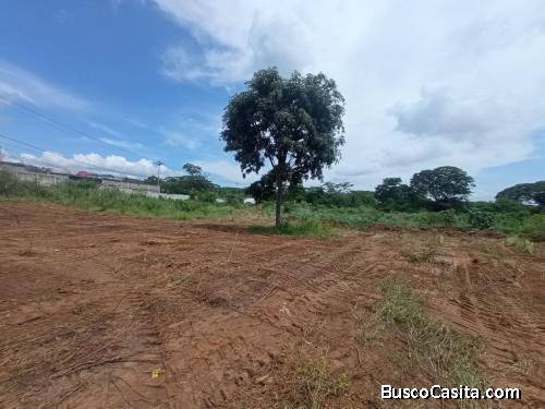 Terreno en zona La Campiña Cabudare de 48.000M de parcela