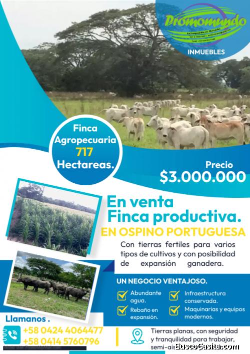 Finca en venta en Ospino Portuguesa.
