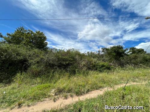 Terreno de 800 m2 ubicado en Michelena Sector El UVITO