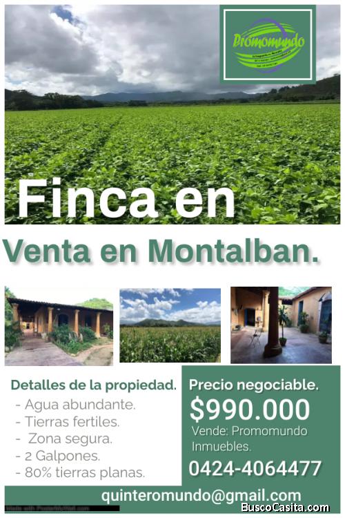 Finca en venta en Montalbán de 240 hectáreas planas.