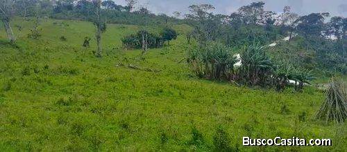 Terreno En Venta De 3 Hectáreas