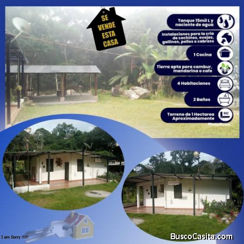 Se vende casa con terreno para siembre y galpon para cria de animales