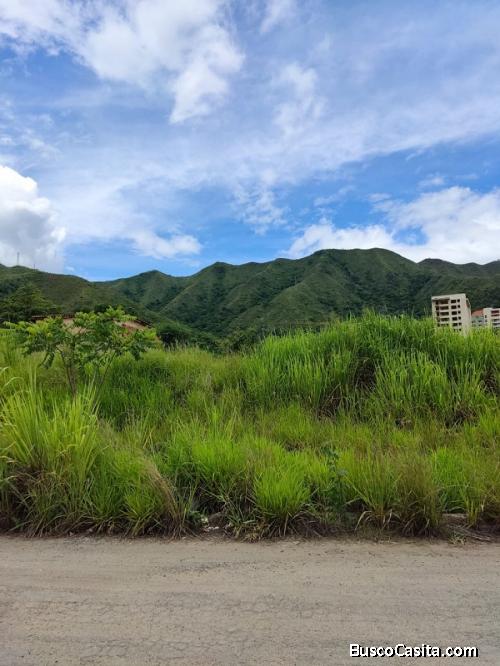 Eglée Suárez Vende Terreno residencial en Ciudad Jardín de Mañongo. 