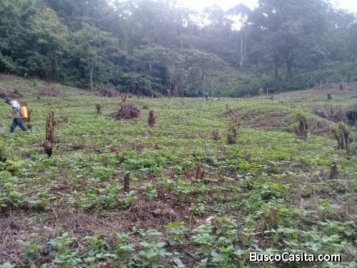 TERRENO EN RÍO CLARO