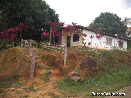 ¡Vive la vida en el campo! Dos fincas en Tucani con casa y negociables.