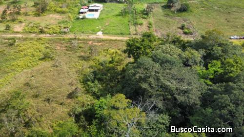 VENTA DE TERRENO EN FUNDO SABANA DEL MEDIO, TOCUYITO, SECTOR BARRERA