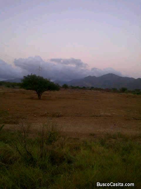 TERRENO UBICADO CERCA DE AEROPUERTO DE LA ISLA DE MARGARITA