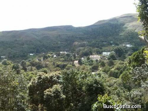 Barato! TERRENO se vende en LA NIEBLA - EL JUNQUITO 600mts2 