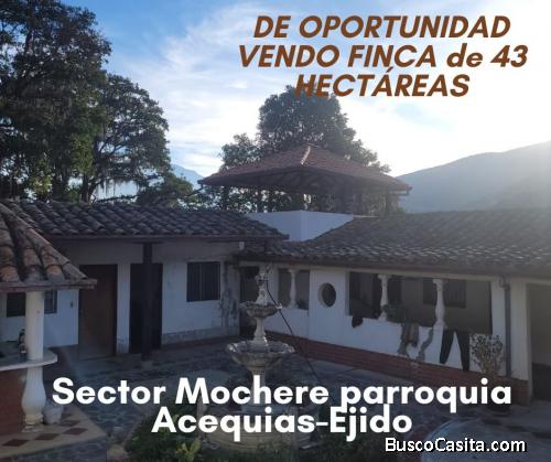 Oportunidad única: Finca de 43 hectáreas en Acequias-Ejido-Mérida 