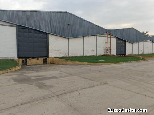 Wil y Gaby alquilan Galpón de 5.000m² een zona industrial Valencia 