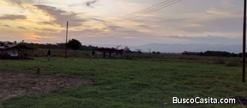 TERRENO LAS MARGARITAS