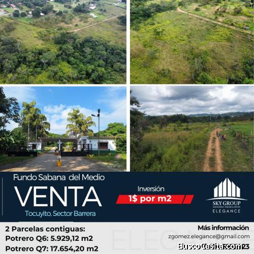 EN VENTA TERRENO RURAL EN FUNDO SABANA DEL MEDIO, CARABOBO