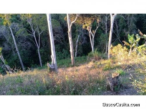 Oferta Terreno en venta el junquito la niebla 2600 MTS2