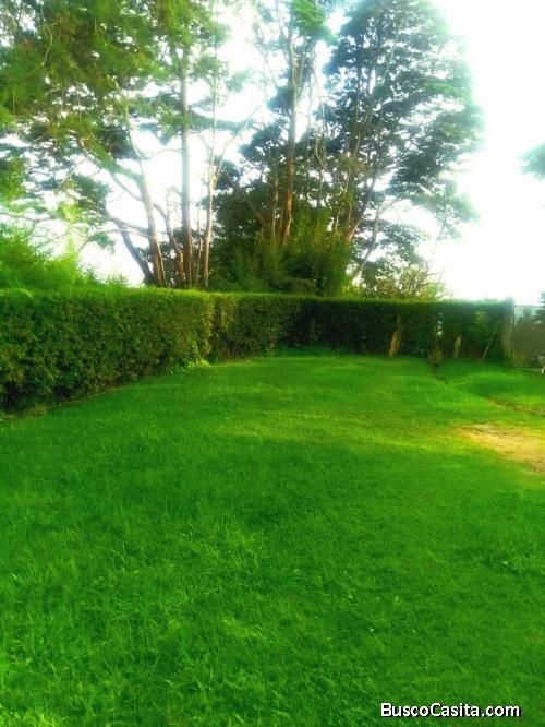 Venta de propiedad finca con 2 viviendas en Camino los Españoles 