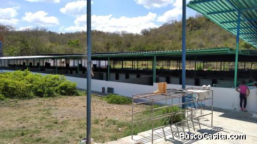 Edna Uzcategui VENDEN Granja Porcina en San Francisco de Asís, Edo. Aragua INZITU REALTORS VENDE