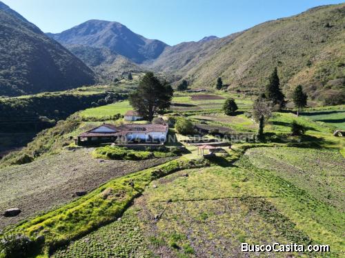 Se Vende Finca De 1.339 Hectáreas En Timotes Estado Mérida.