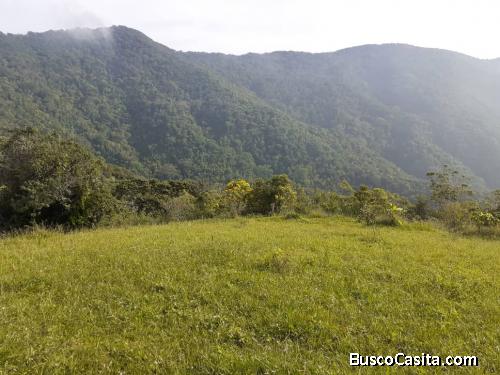 Venta finca en camino los Españoles 
