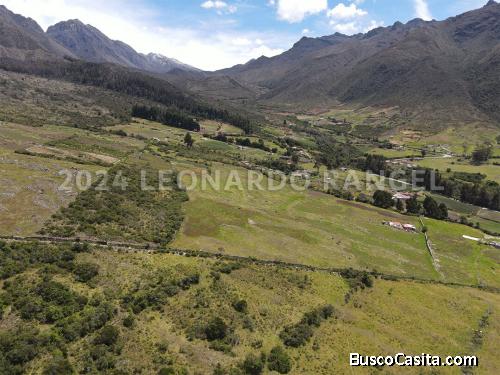 Se Vende Finca De 11,5 Hectáreas En La Culata, Merida Con Gran Potencial Agrícola, Residencial, Turí