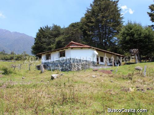 Se Vende Esta Hermoso Finca De 3 Hectáreas En El Valle, Mérida.