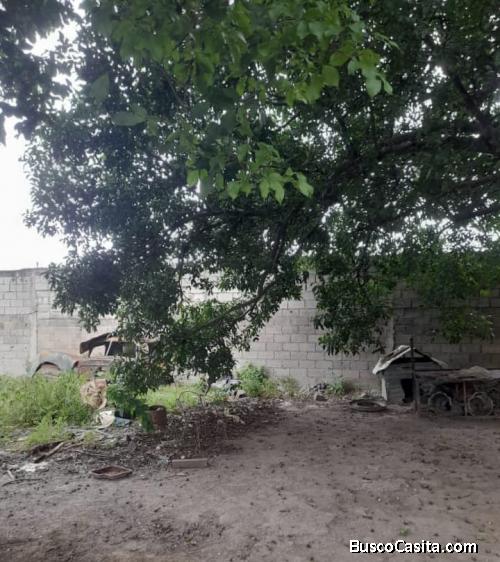 VENDO TERRENO EN CENTRO DE YARITAGUA