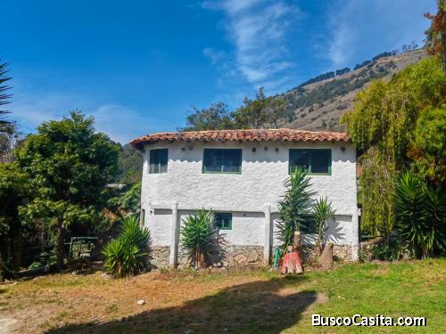 Cabañas Mucuruba