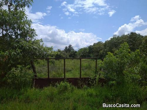 Terreno Urb. El  Encanto. Municipio Libertador, Edo. Carabobo. 2.500 m2