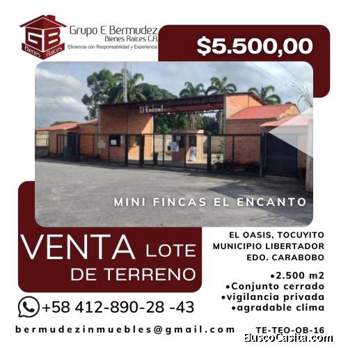 Terreno Urb. El  Encanto. Mpio Libertador, Carabobo. 2.500 m2 (TE-TEO-OB-16)