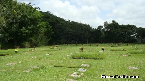 Parcela de 2 puestos en el Cementerio del Este