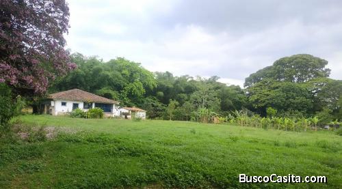 SKY GROUP ELEGANCE VENDE TERRENO CON BIENHECHURIAS EN AGUIRRE