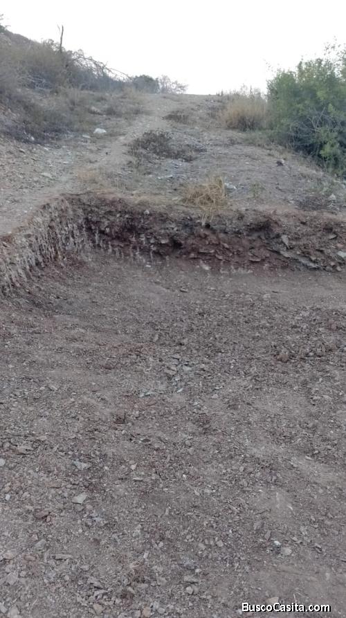 TERRENO  EN MANANTIAL DE GUAYAMURI, ANTOLÍN DEL CAMPO,ISLA DE MARGARITA