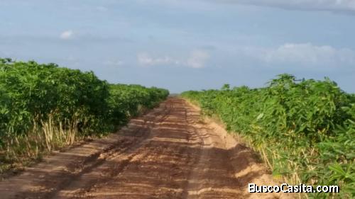 VENDO FINCA DE 1.200 Ha EN ANZOATEGUI
