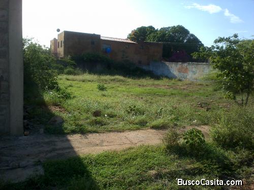 Bello terreno en Juan Griego 