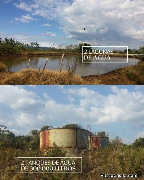 Gran oportunidad agroindustrial en Tinaquillo, Edo. Cojedes 